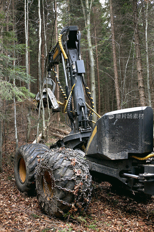 森林里的Feller buncher